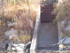 cso image004